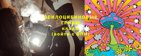 бутират Гусев